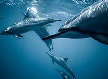 开云：开启云端生活的新纪元